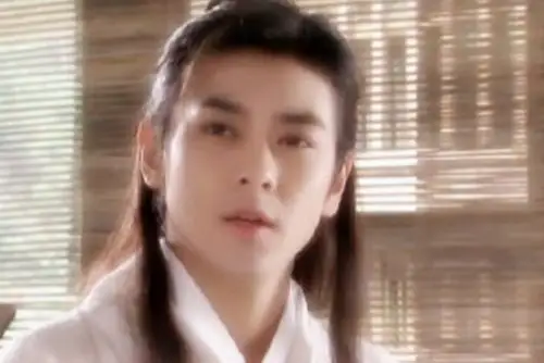 天龙八部>段誉.林志颖