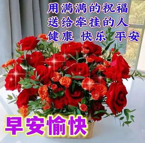 早安图片早上好漂亮了问候图片