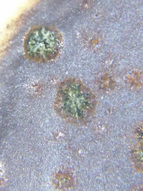 这是什么什么时期的瓷器结晶体