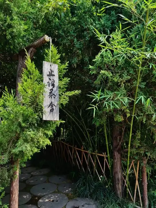藏在洛阳白马寺里的止语茶舍