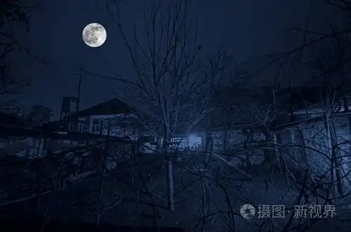 美丽的风景村中的街道与建筑物和树木和大满月在夜晚的天空.