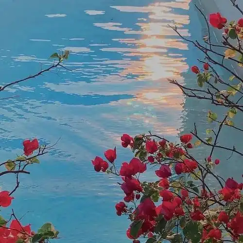 127张逼格超高的朋友圈背景图! - 知乎