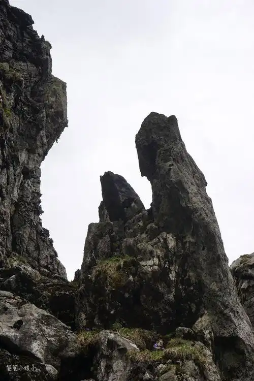 武当一剑取景地美女照镜生命之根野人头你看到了吗