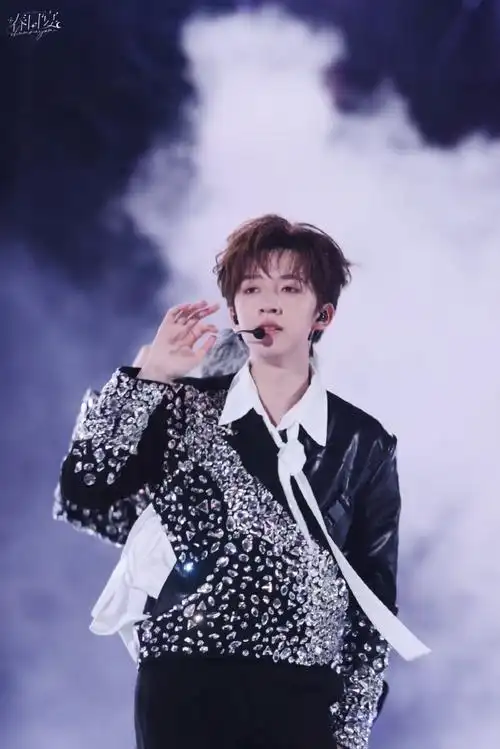 贺峻霖理想之途演唱会