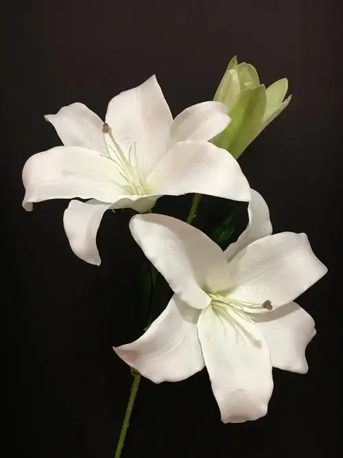 香水- 热门商品专区