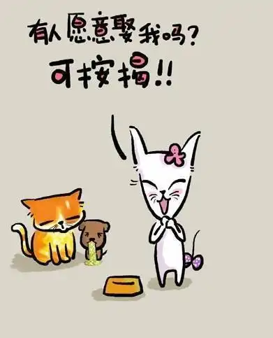 人生的歪理,很有内涵.