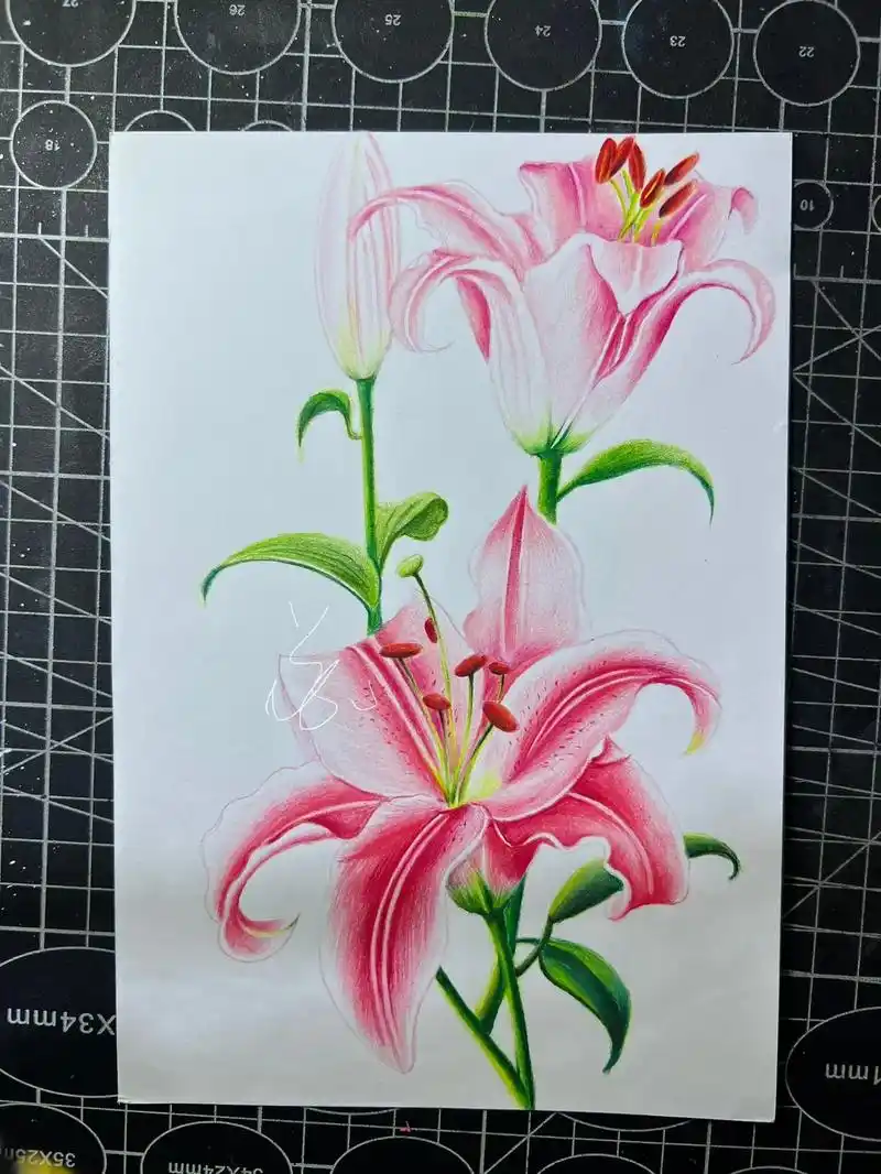 彩铅百合花教程#跟着抖音学画画 #一学就会系列 #彩铅画画入 - 抖音