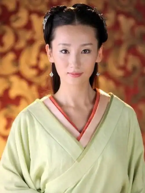 美人心计薄巧慧服装素材一