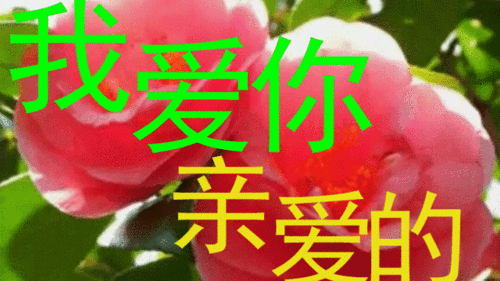 七言藏头诗《亲爱的我爱你》