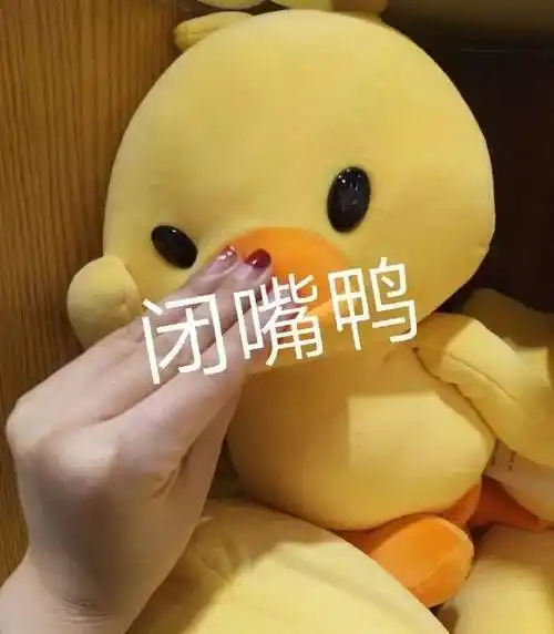 闭嘴鸭_闭嘴表情