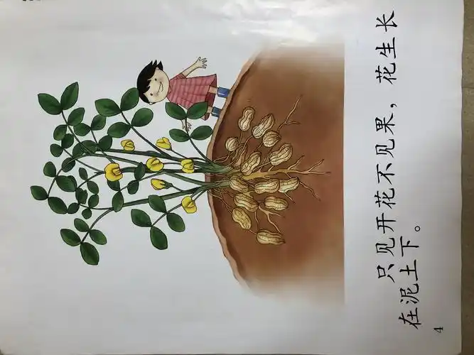 分享阅读——《上面和下面》