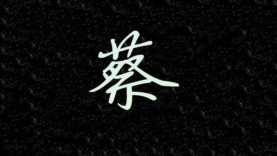 "蔡"这个姓要怎样写才好看(不能狂草)要写好的图片