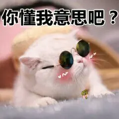 你懂我意思吧?_意思表情