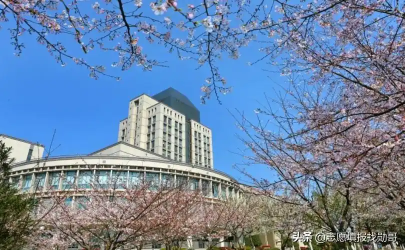 江南大学研究生院官网(这所大学) - 郁金香