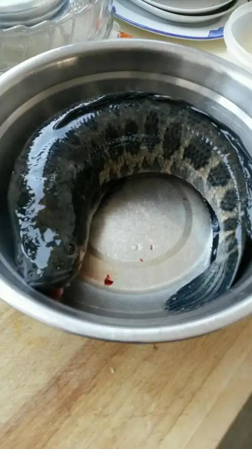 宝宝辅食,黑鱼馅馄饨