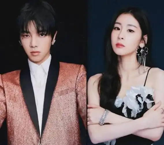 华晨宇的真实身份曝光,难怪张碧晨不结婚也要生下孩子|唱片|邓紫棋