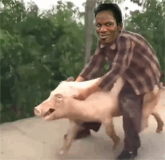 教皇换脸骑猪 - 教皇换脸傻屌动图表情包_教皇_换脸_gif_动图_斗图_群