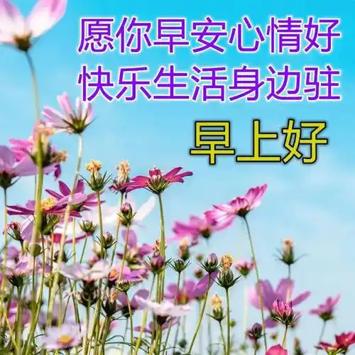 8张最美春日风景早上好图片带字带祝福语 好看的朋友圈早安问候祝福语