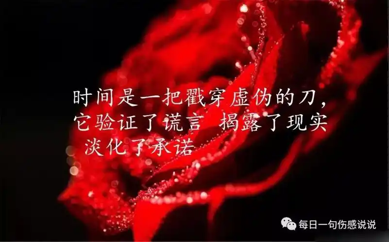 说散就散了的爱情伤感说说,句句痛到心滴血