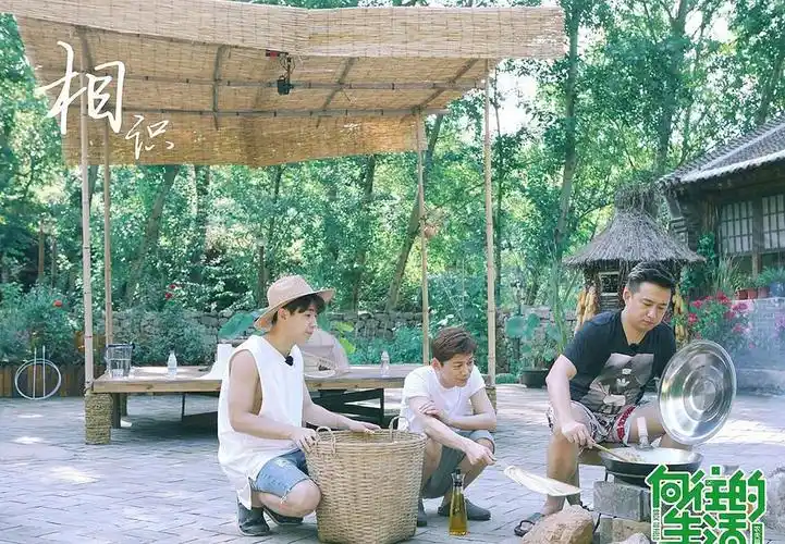 向往的生活第一季官方剧照剧照图片