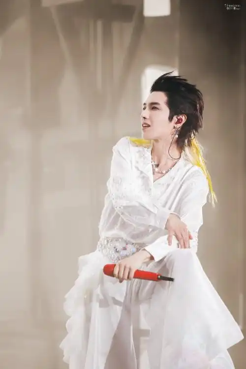 2024华晨宇火星演唱会