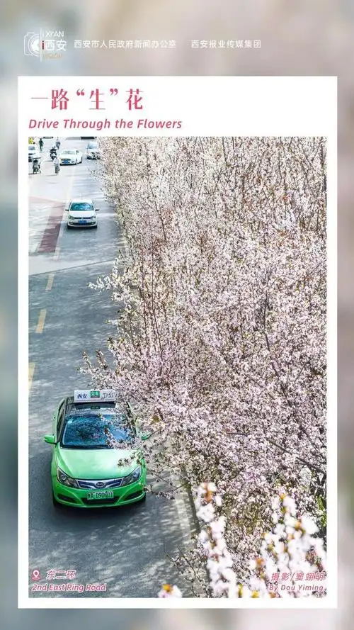 越南胡志明市63西安4月29日开通直航