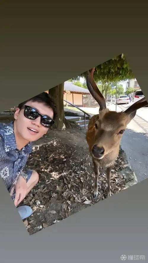 张康阳晒与一只鹿的合照
