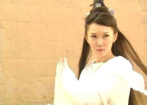 影视快搜安装包:此剧中的男主新加坡演员李铭顺,也多次与范文芳多次