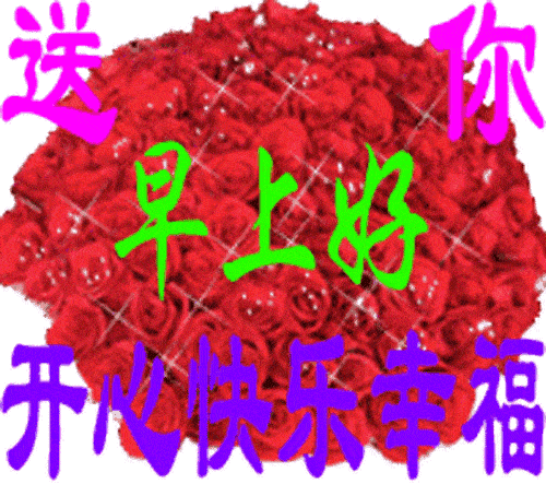 暖心的早上好问候语祝福短信早安鲜花图片带字