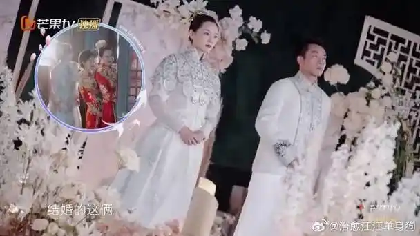 郑恺苗苗穿古装走秀,遭到陈乔恩吐槽:好像结婚现场|郑恺|陈乔恩|妻子