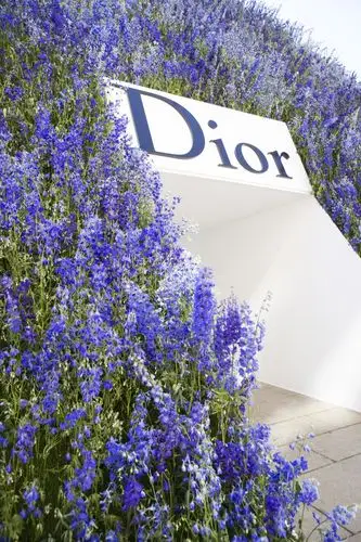 2016年christian dior春夏高级成衣发布秀_克里斯汀-迪奥巴黎时装周