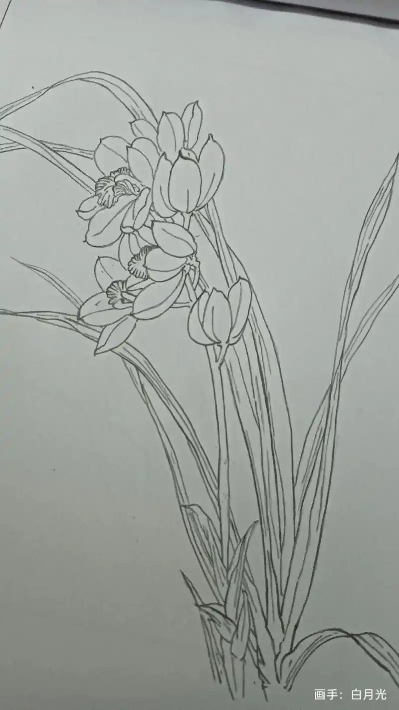 素描画.生活最好的样子,不是被别人认可和喜欢,而是懂得自我欣 - 抖音