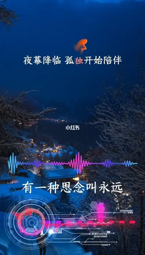 歌曲有一种思念叫永远倪尔萍