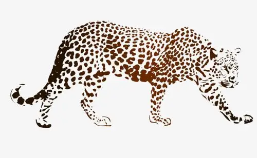 矢量手绘豹子素材