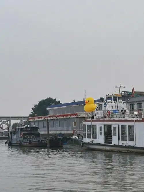 长洲岛鱼珠码头去坐船咯周末好去处