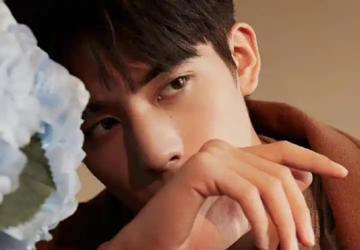 宋威龙除了颜没其它才华,他的演技硬生生让人弃剧了