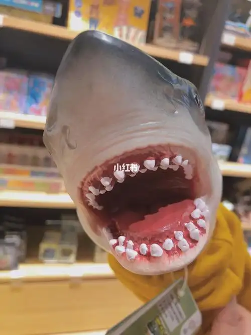 鲨鱼00咬人