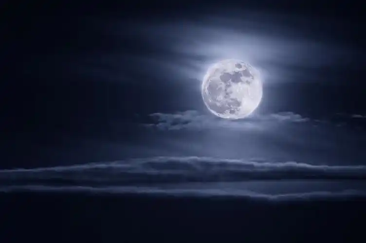 蒙古语_央视网 - cctv.com_mongol home page