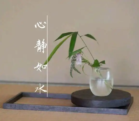 惊涛骇浪里学会心静如水