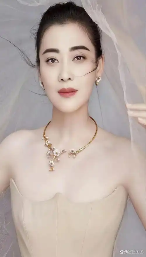 明星图集梅婷