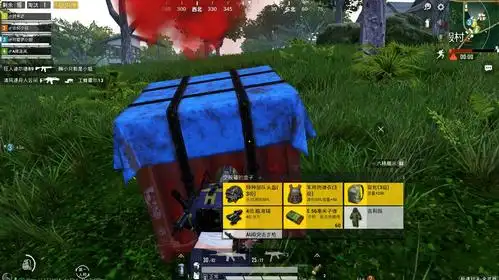 阿菜游戏:《和平精英》之空投的精彩视频合集