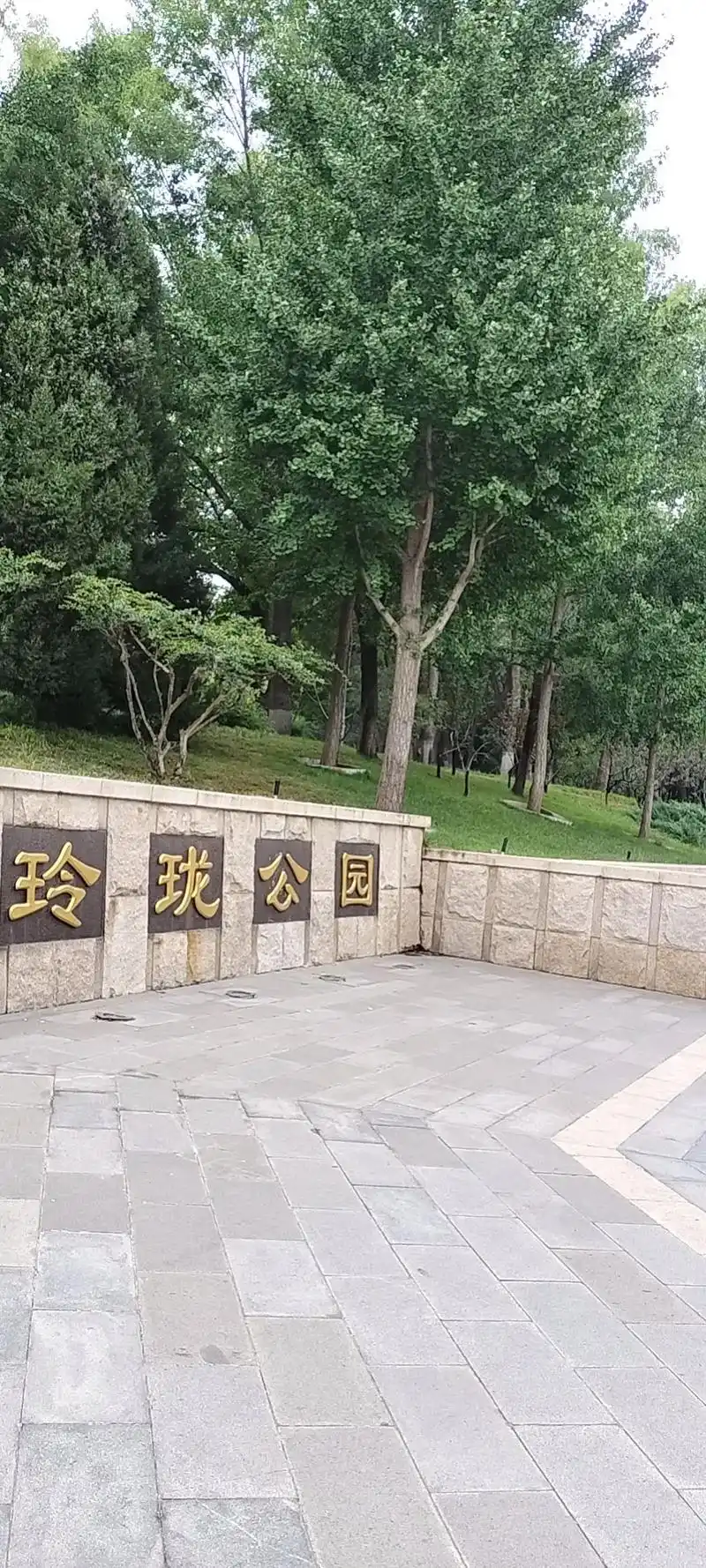 只有照片能记录这份珍贵  - 抖音