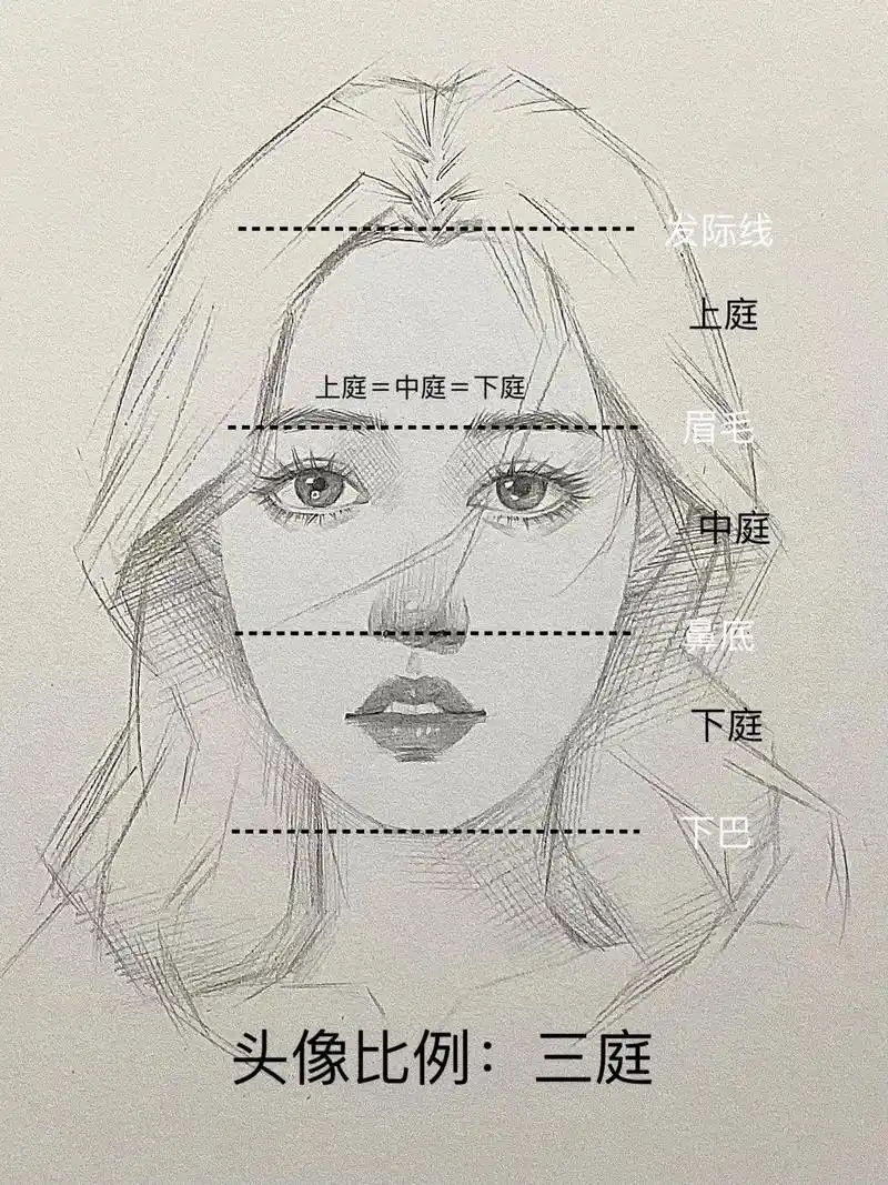 超详细人像比例教程.#素描 #一起学画画 #跟着抖音学画画  - 抖音