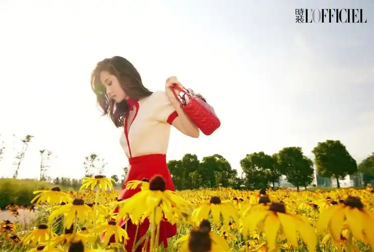 王子文夏日派对