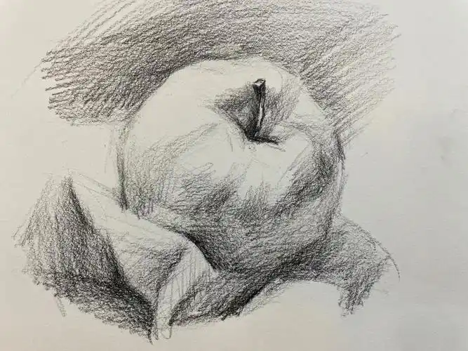 素描  #水果  #零基础学画画  #干货分享