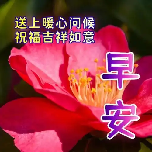 早安唯美语句,新的一天,像一张白纸等待你的书写