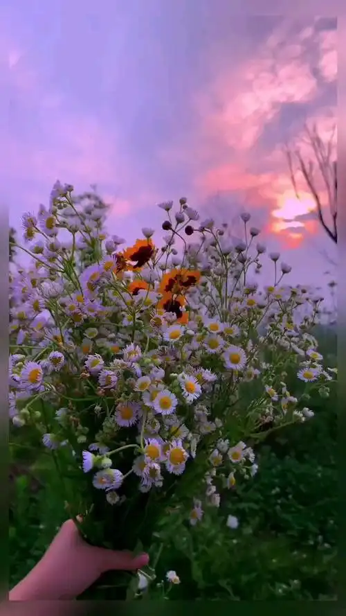 生活明朗万物可爱人间值得未来可期祝你好运