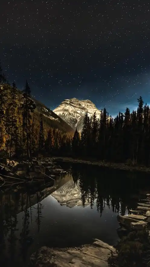 超高清壁纸: 背景动态主题锁 和百万清图片每天更新