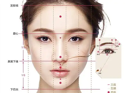 平面—技术介绍,引导牌,三庭五眼