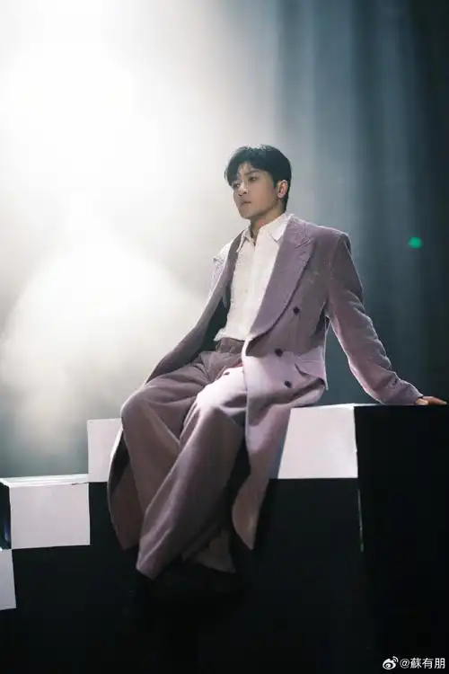 苏有朋在多重宇宙中遇见你演唱会